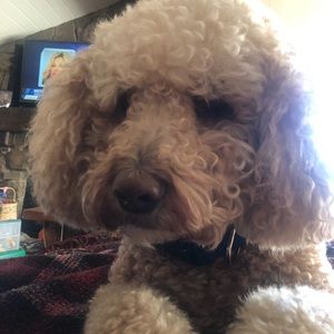 Meet your Posher, Marianne